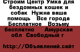 Строим Центр Умка для бездомных кошек и собак! Нужна ваша помощь - Все города Бесплатное » Возьму бесплатно   . Амурская обл.,Свободный г.